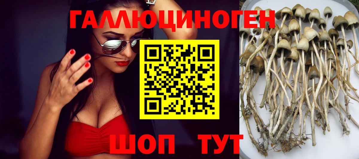 Галлюциногенные грибы ЛСД Борисоглебск