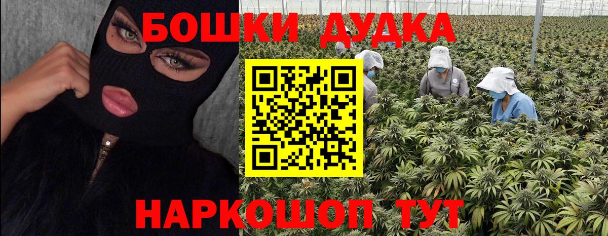 Конопля конопля Борисоглебск